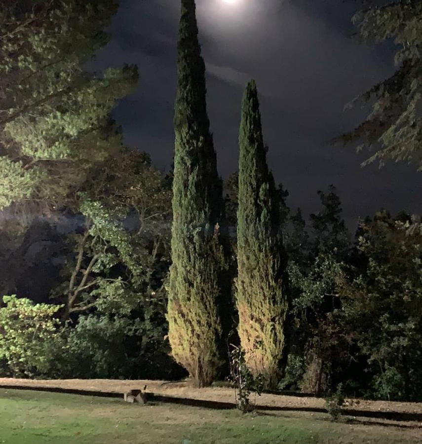 Villa Poggio Fagianino サンタルビノ エクステリア 写真
