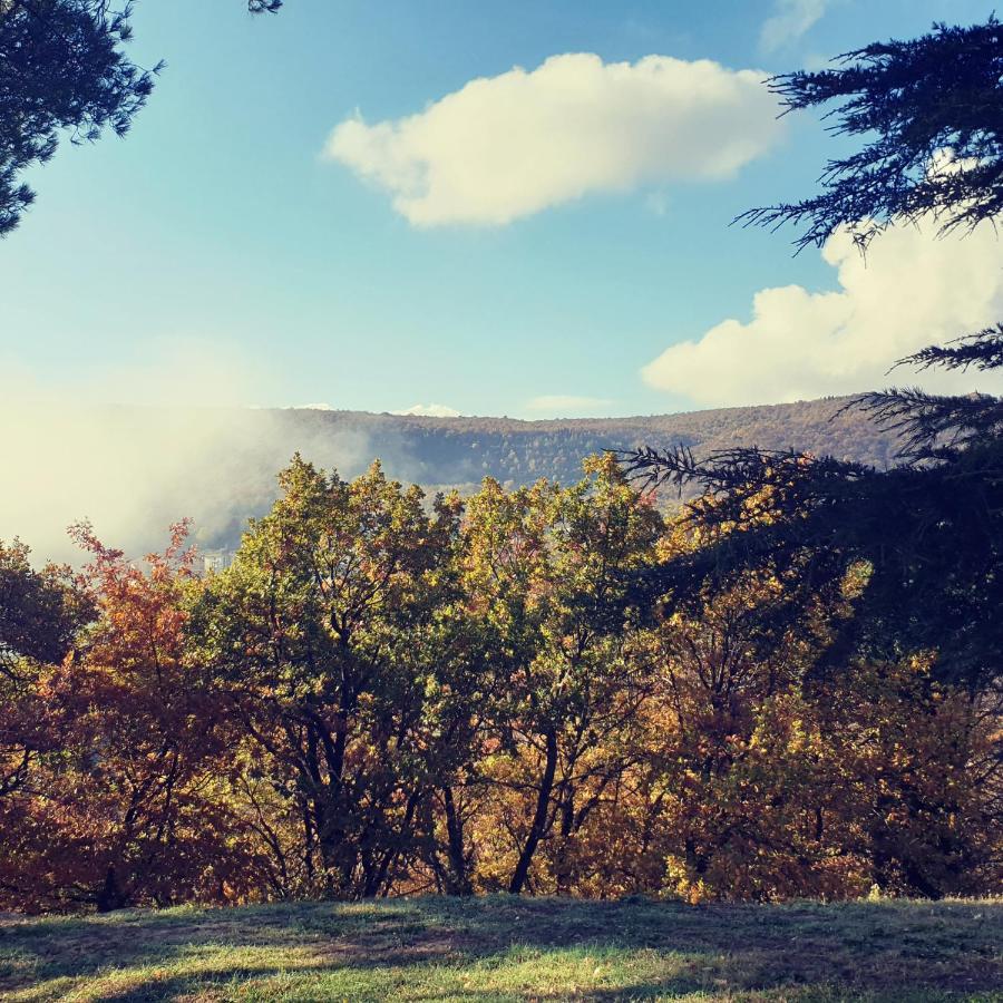 Villa Poggio Fagianino サンタルビノ エクステリア 写真