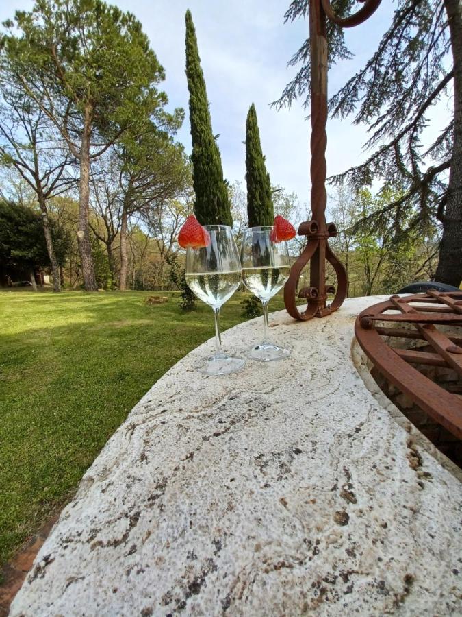 Villa Poggio Fagianino サンタルビノ エクステリア 写真