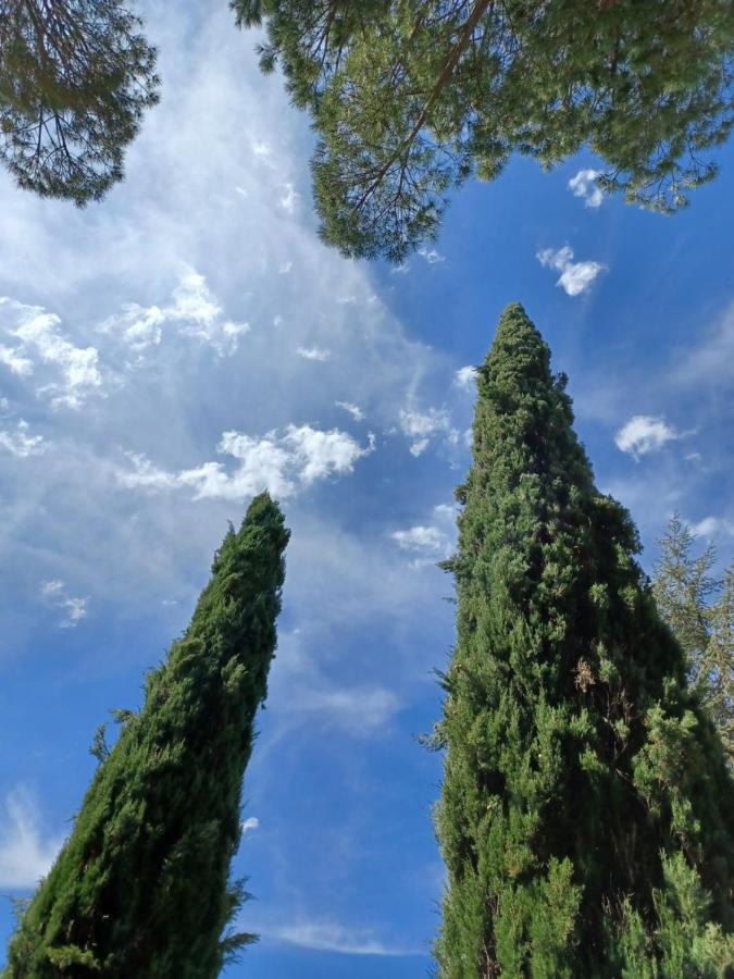 Villa Poggio Fagianino サンタルビノ エクステリア 写真
