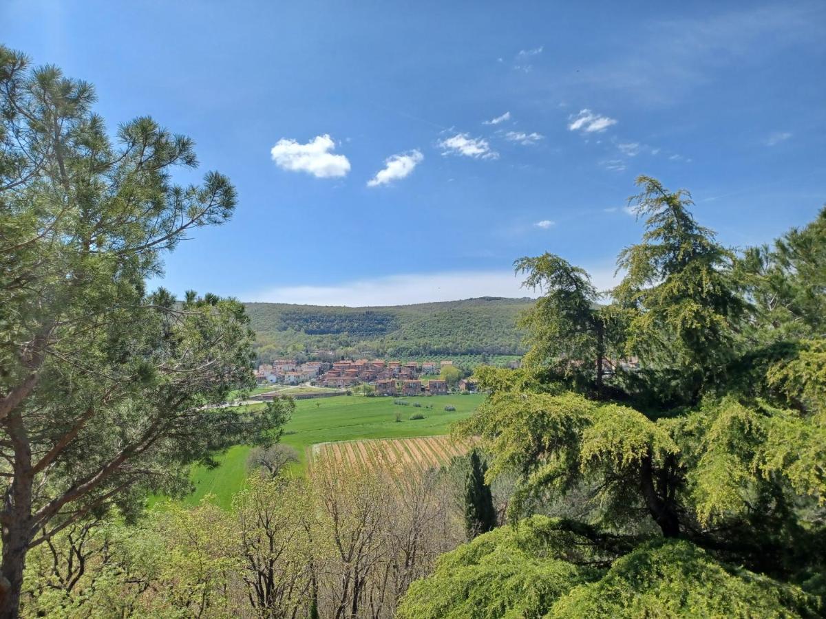 Villa Poggio Fagianino サンタルビノ エクステリア 写真