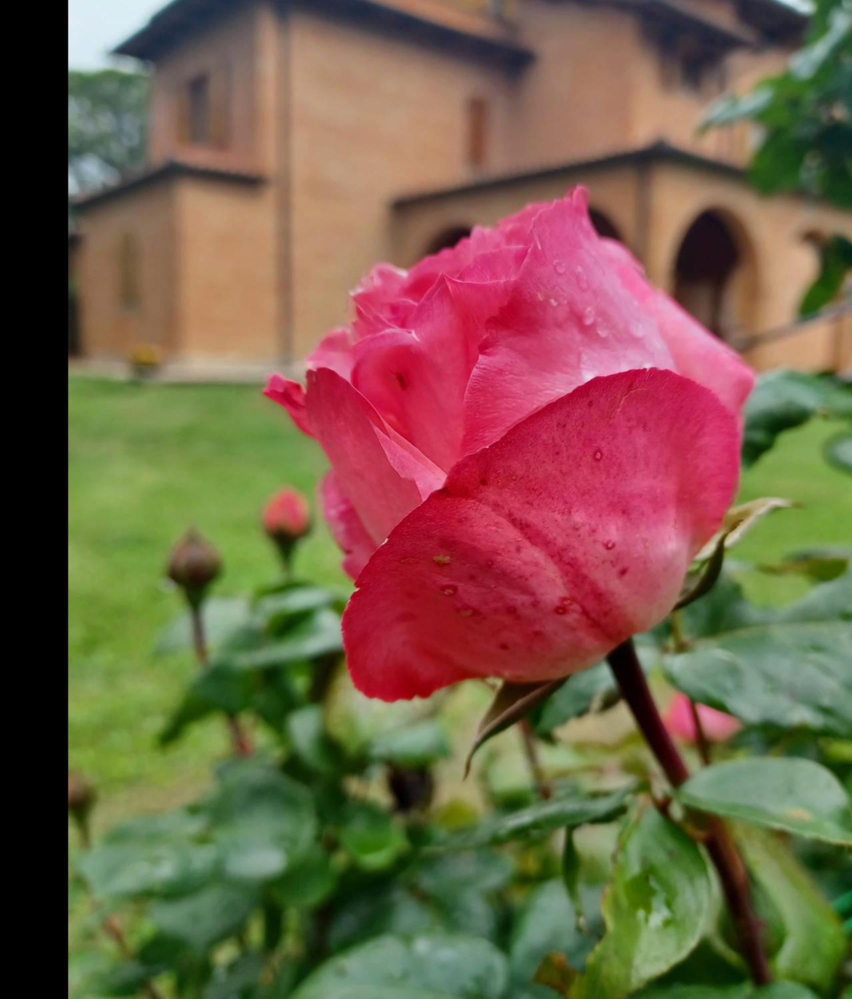 Villa Poggio Fagianino サンタルビノ 部屋 写真